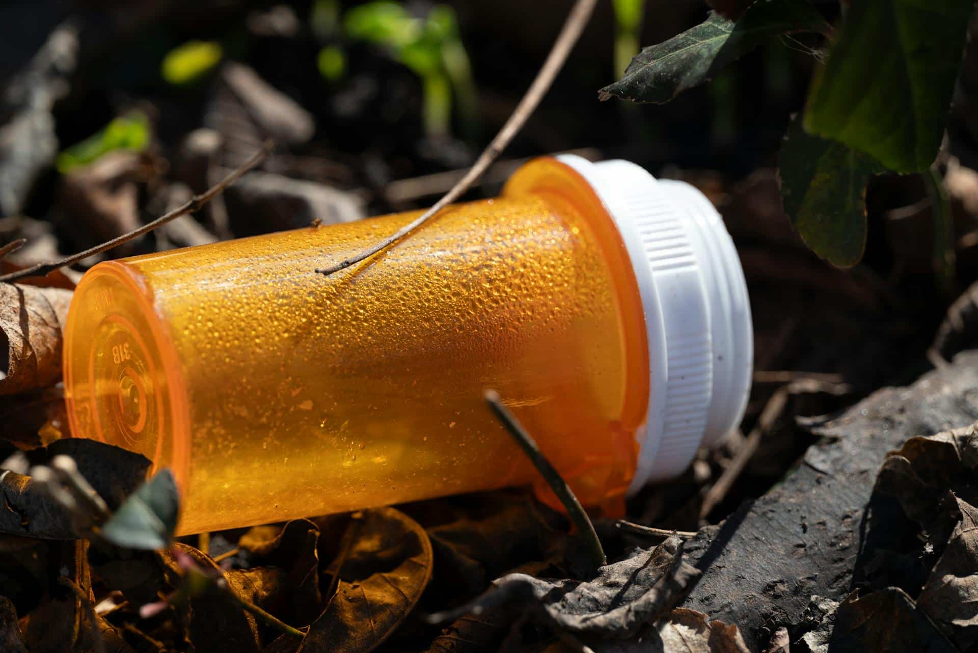 An empty orange prescription pill bottle lying on the ground among leaves, dirt, and small plants